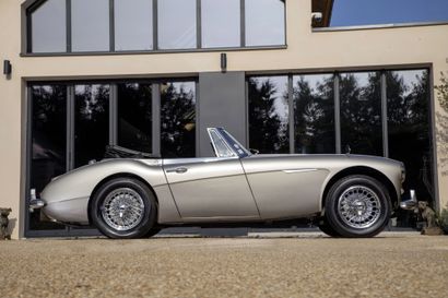 1963 AUSTIN HEALEY 
N° de châssis : HBJ7L22355...