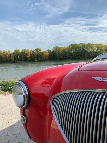 1955 AUSTIN HEALEY 
N° de série 227055

Exemplaire...