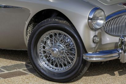 1963 AUSTIN HEALEY 
N° de châssis : HBJ7L22355...