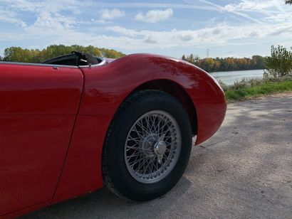 1955 AUSTIN HEALEY 
N° de série 227055

Exemplaire...