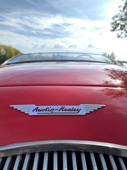 1955 AUSTIN HEALEY 
N° de série 227055

Exemplaire...