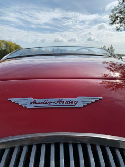 1955 AUSTIN HEALEY 
N° de série 227055

Exemplaire...