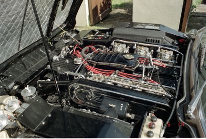1977 LAMBORGHINI 

