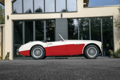 1959 AUSTIN HEALEY 
