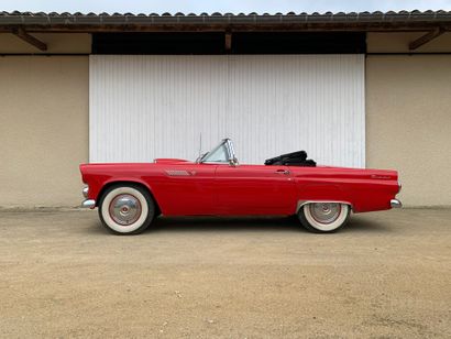 1955 FORD 

N° de série : R5FM219710




Bel...