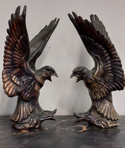 PAIRE D'AIGLES en bronze

Elements de portail...