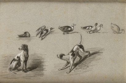FRENCH SCHOOL AROUND 1900
Study of Ducks...