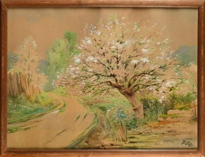 Hippolyte Jean Adam GIDE (1852-1921)
Apple...