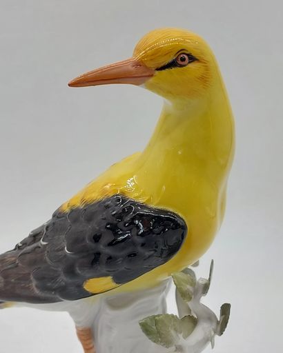 MEISSEN
Bird on a branch
Polychrome porcelain...