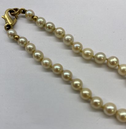 COLLIER de perle de culture 
Poids brut :...