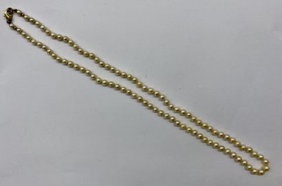 COLLIER de perle de culture 
Poids brut :...