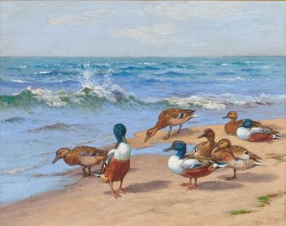 Georges Frédéric RÖTIG (1873-1961)

Canards...