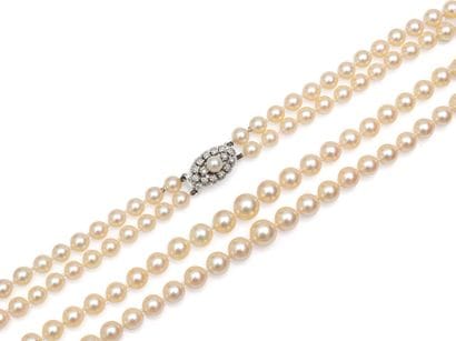 COLLIER
constitué de deux rangs de perles...