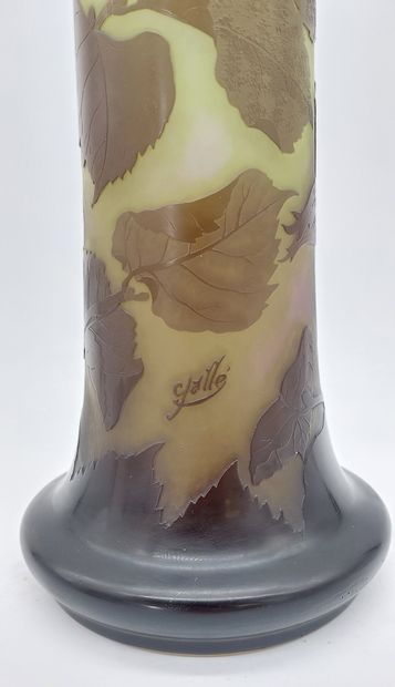 Émile GALLÉ (1846-1904) 

Large pâte de verre...
