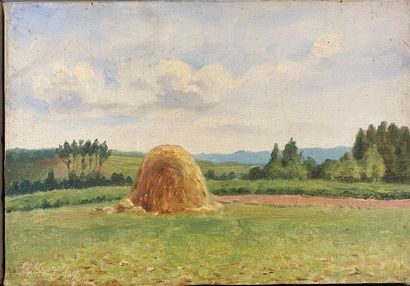 Georges KROEGER

Mountain stream, Millstone,...