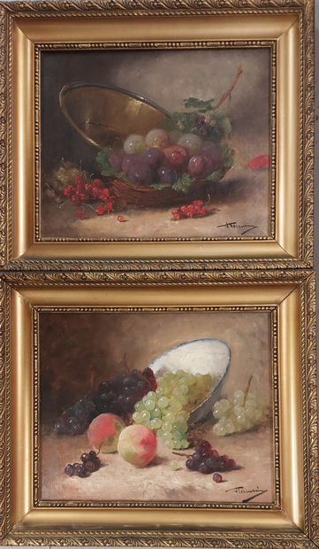 NATURE MORTE AUX FRUITS

Deux huiles sur...