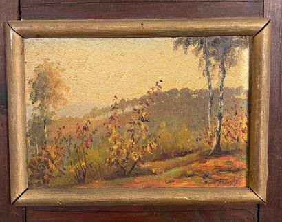 Georges KROEGER

Set of 17 small oil paintings

Landscapes,...