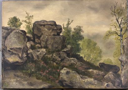 Georges KROEGER

Rocks, cliffs, undergrowth

Four...
