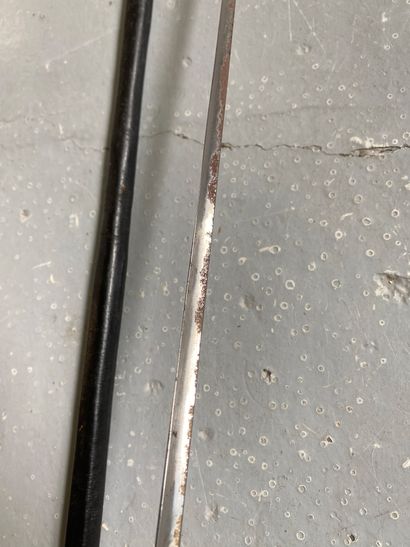 Officer's EPEE, bronze and mother-of-pearl...