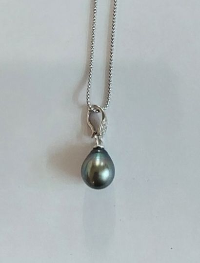 CHAIN in white gold with pendant 

weight...