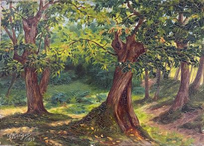 Georges KROEGER

Mountain stream, Millstone,...