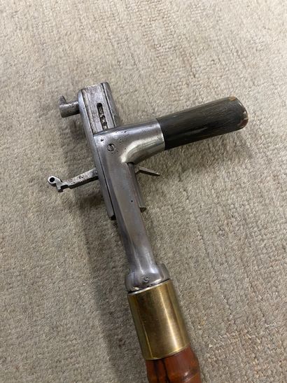 Metal, horn and brass SYSTEM CANE, bamboo...