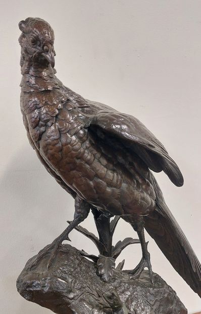 Alfred DUBUCAND (1828-1894) 

The pheasant...