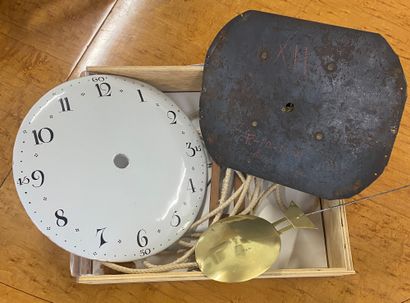 FLOOR CLOCK called Demoiselle in oak carved...