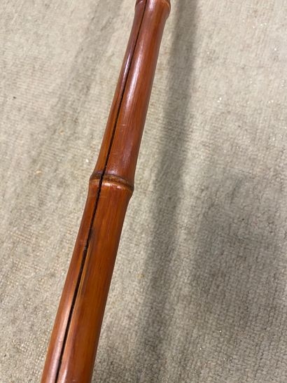 Metal, horn and brass SYSTEM CANE, bamboo...