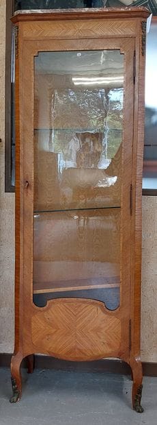 WINDOW in veneered wood opening with a door,...
