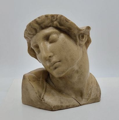 Wax BUST

The Dying Slave after Michelangelo

Height:...
