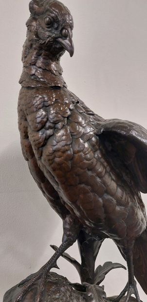 Alfred DUBUCAND (1828-1894) 

The pheasant...