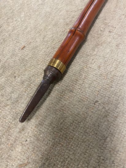 Metal, horn and brass SYSTEM CANE, bamboo...