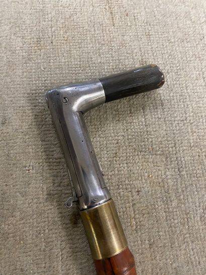 Metal, horn and brass SYSTEM CANE, bamboo...