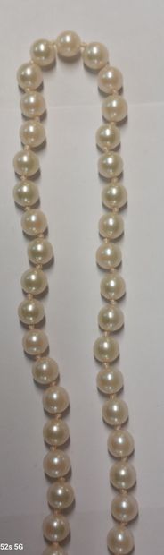 COLLIER de perles (non testées) avec fermoir...