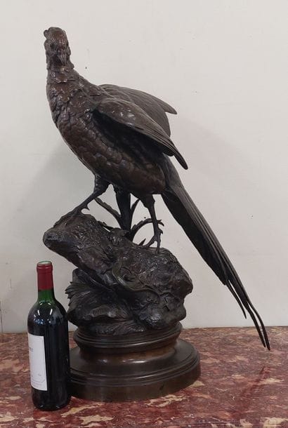 Alfred DUBUCAND (1828-1894) 

The pheasant...