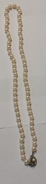 COLLIER de perles (non testées) avec fermoir...
