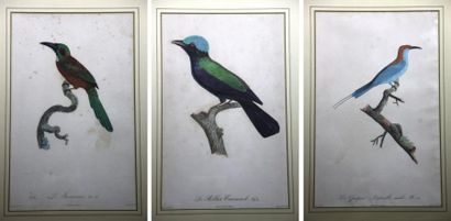 SUITE DE TROIS GRAVURES polychromes à sujets...