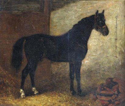 Nicolas MOREAU (XIXème siècle)
Etalon noir...