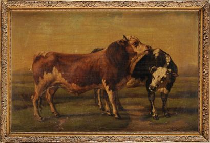 ECOLE FRANCAISE DU XIXème siècle
Vaches au...