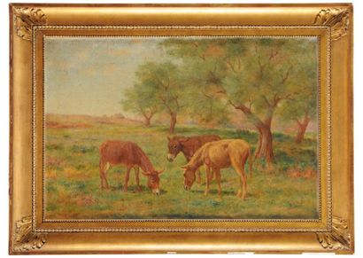John-Lewis SHONBORN (1852-1931)
Anes aux...