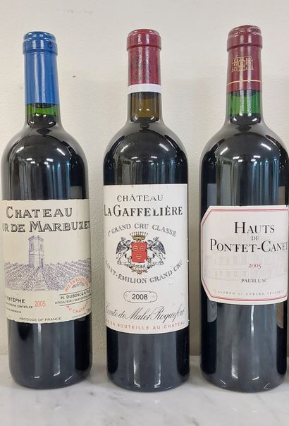 LOT OF WINE BOTTLES including : 

- 1 bottle...