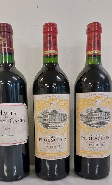 LOT OF WINE BOTTLES including : 

- 1 bottle...