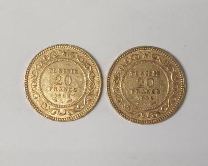 2 PIECES 20 FRANCS OR 

Tunisie 

1892

Poids...