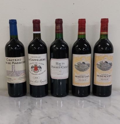 LOT OF WINE BOTTLES including : 

- 1 bottle...
