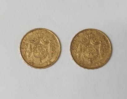 2 PIECES 20 FRANCS OR

Leopold II 

1876...