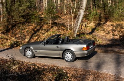 1994 Mercedes-Benz SL 320
Chassis: WDB1290631F09045
French...