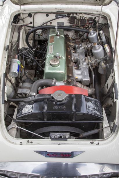 1957 Austin Healey 100/6
French registration
Serial...