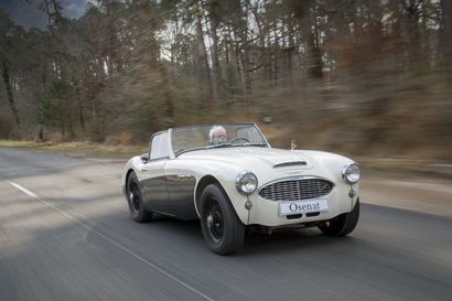 1957 Austin Healey 100/6
French registration
Serial...