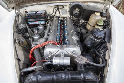 1964 Jaguar MK 2 
- Engin 3.8, manual gearbox:...